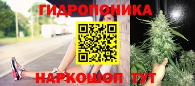 сатива Будённовск