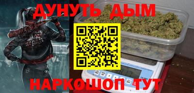сатива Будённовск