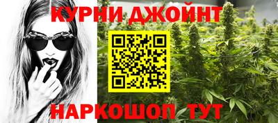 сатива Будённовск